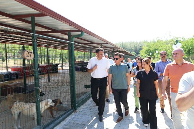 Antalya'nın en büyüğü Kaş'ta