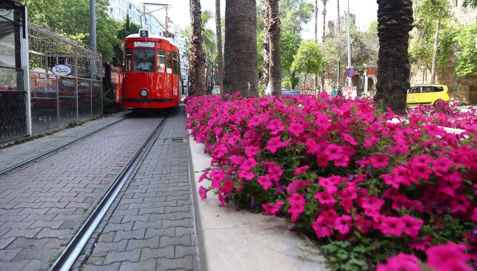 Antalya yazlık çiçeklerle rengarenk olacak