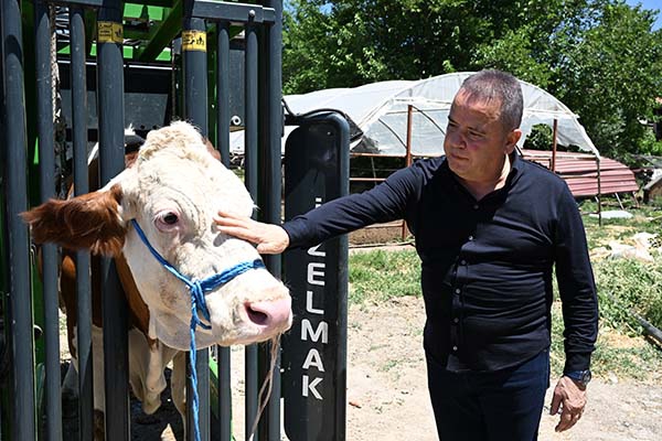 Arıtma suyu Susuz Beğiş’e can verecek