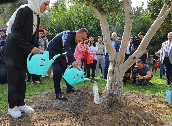 Başkan Böcek barış için zeytin ağacı dikti 