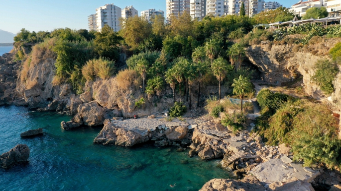 Başkan Uysal, “Bambus Antalya’nındır”