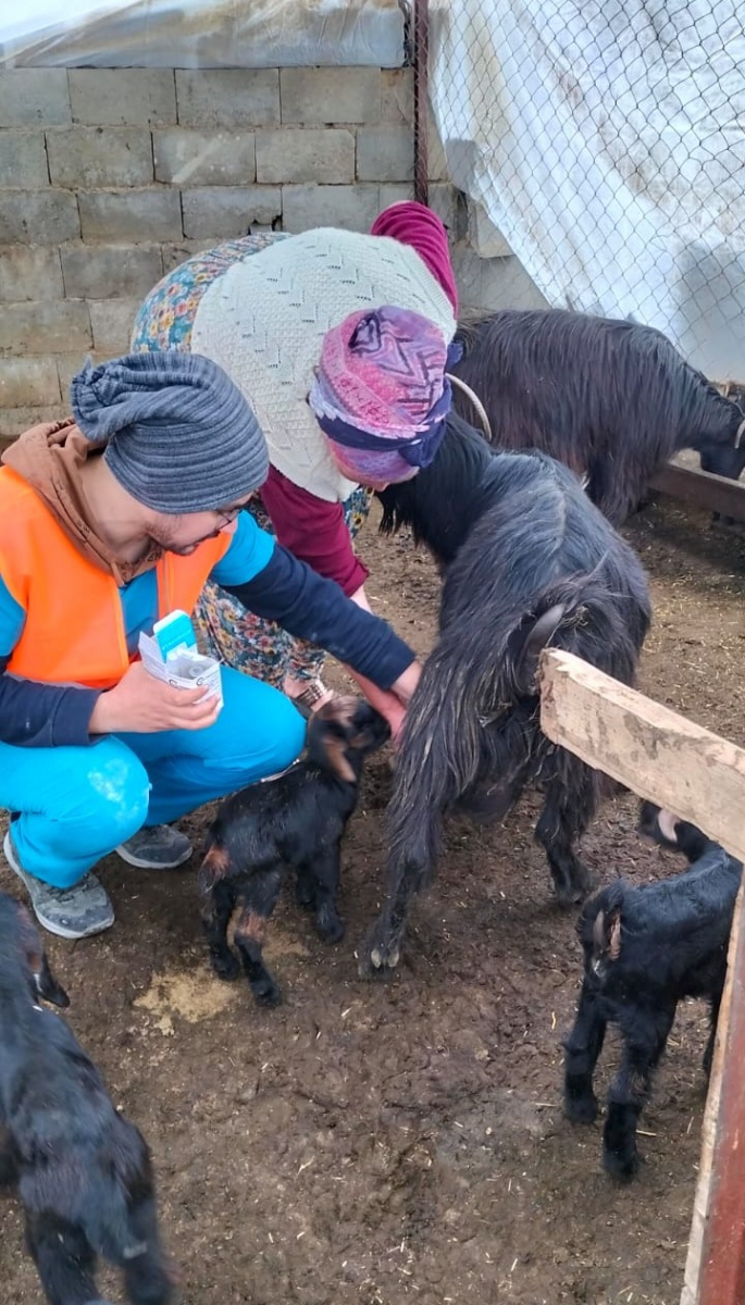 Büyükşehir Belediyesi’nden Gaziantep’te veterinerlik hizmeti