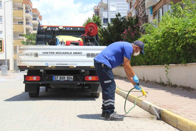 Büyükşehir vektörle mücadele çalışmasını aralıksız sürdürüyor