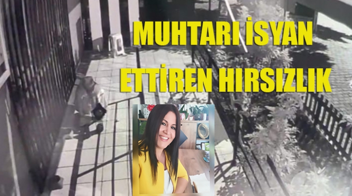 Çalınan mamalar muhtarı kızdırdı