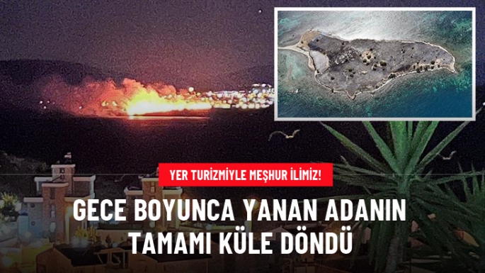 Çiçek Adası'nın tamamı küle döndü