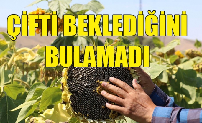 Çiftçi beklediğini bulamıyor