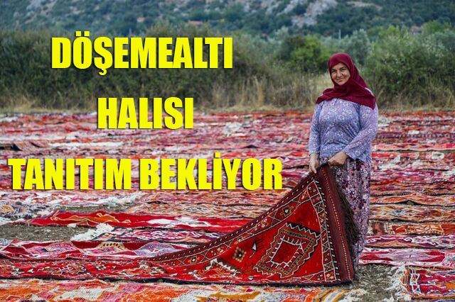 Döşemealtı halısı tanıtım bekliyor