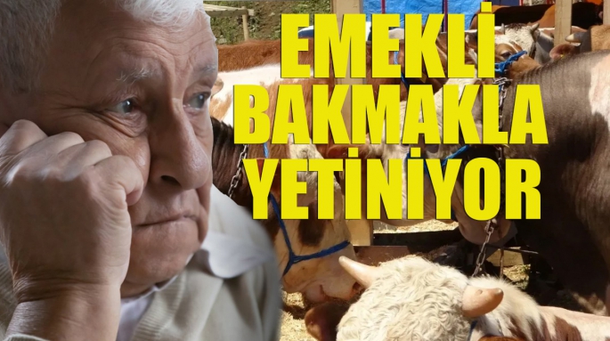 EMEKLİ BAKMAKLA YETİNİYOR