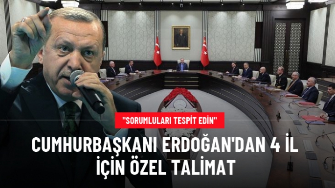 Erdoğan'dan 4 il için özel talimat