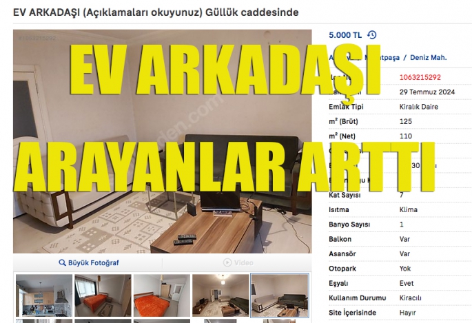 Ev arkadaşı arayan arttı