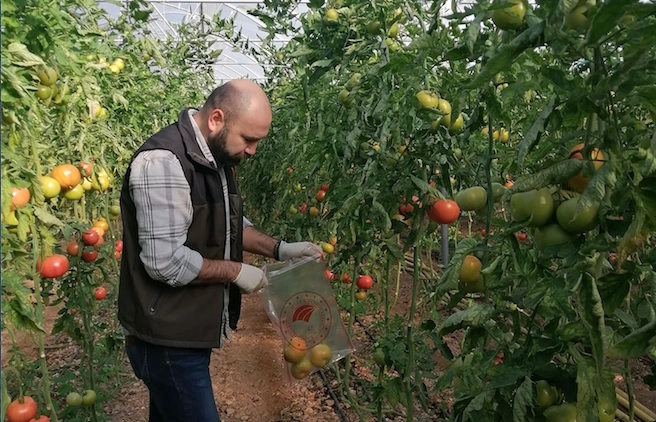 Güvenilir Gıda' İçin Denetim ve Mücadele