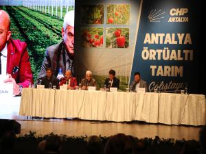  Antalya Örtüaltı Üretimde Birinci Sırada