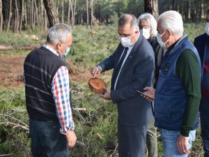 Düzlerçamında Doğa Katlediliyor