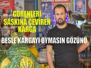 Görenlerin ağzı açık kalıyor