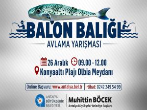 Oltacılar Balon Balığı İçin Yarışacak