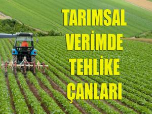 Tarımsal Verimde Tehlike Çanları