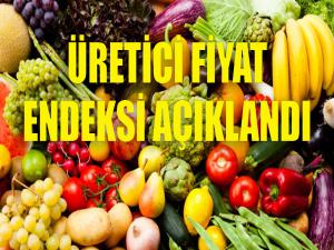 Üretici fiyat endeksi açıklandı