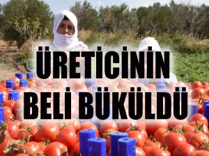 Üreticinin beli büküldü