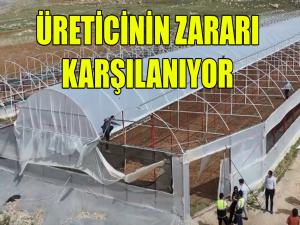 Zarar Gören Çiftçinin Zararı Karşılanıyor