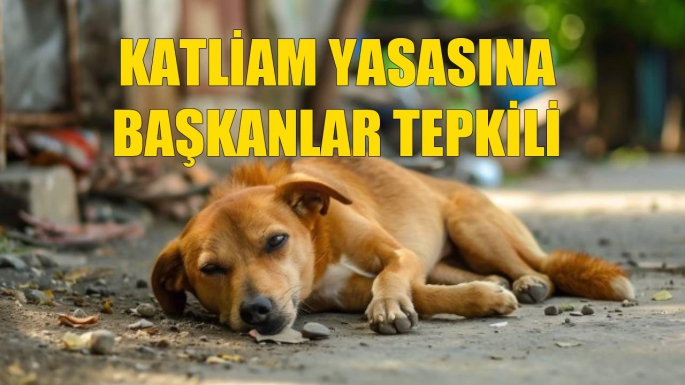 Katliam yasasına başkan tepkisi