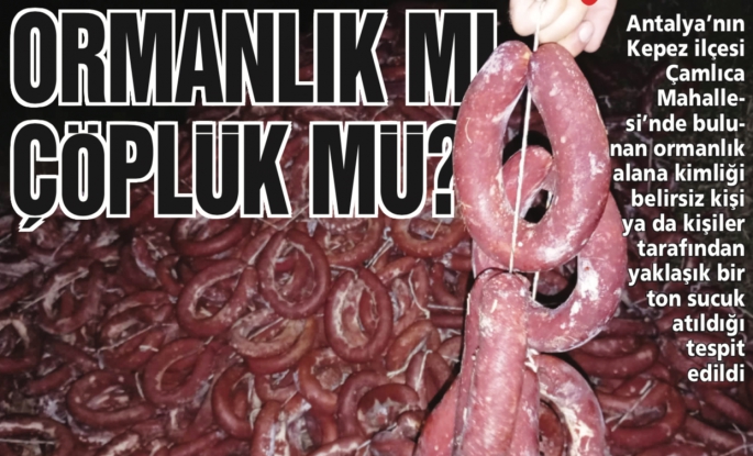 ORMANLIK MI ÇÖPLÜK MÜ?