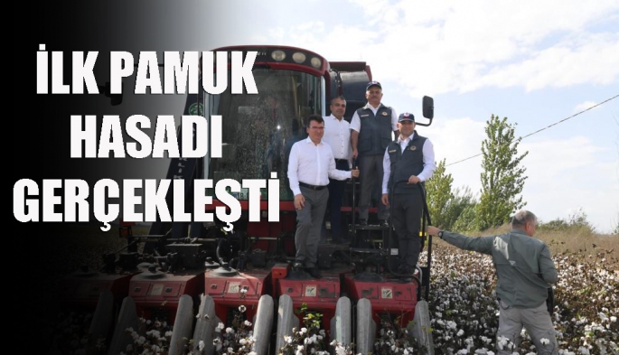 Pamukta ilk hasat 