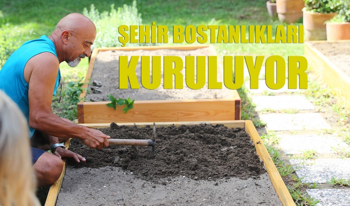  Şehir Bostanlıkları kuruluyor