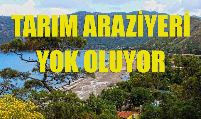 Tarım arazileri kayboluyor