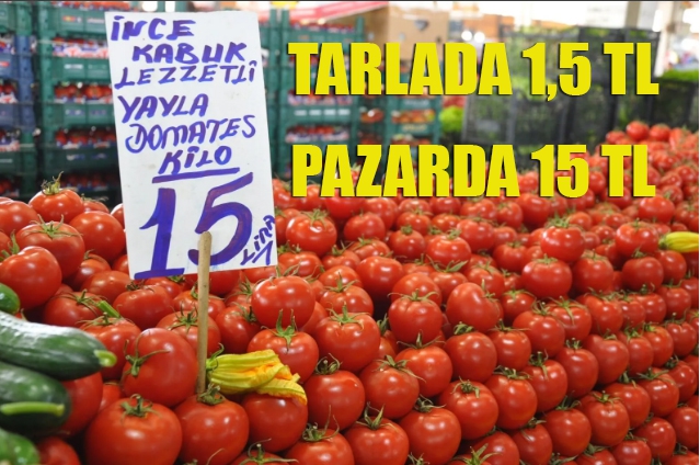 Tarlada 1,5 lira pazarda 15 lira