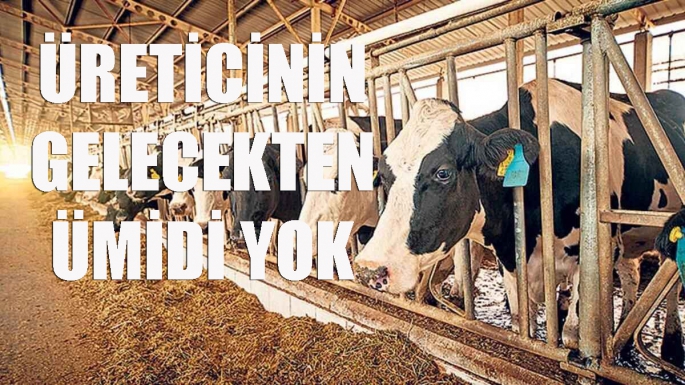 Üreticinin gelecekten ümidi yok