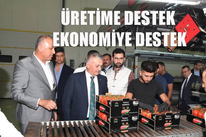 Üretimle ülke ekonomisine katkı