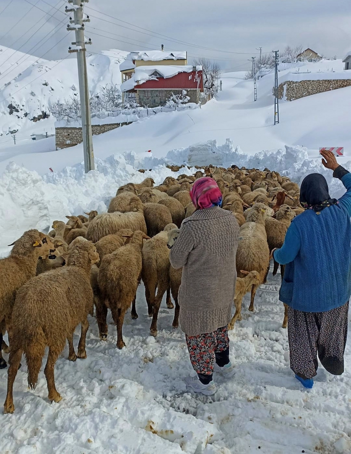 Yaylada mahsur kaldı belediye ekipleri kurtardı