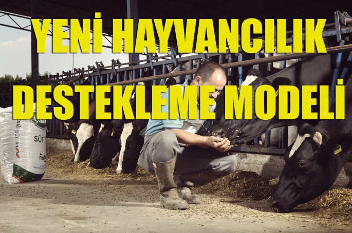 Yeni hayvancılık destekleme modeli