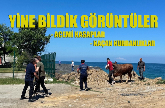 YİNE BİLDİK GÖRÜNTÜLER