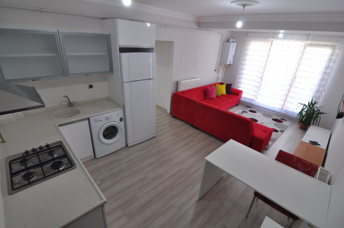 Yurt bulamayan apartlara yöneldi